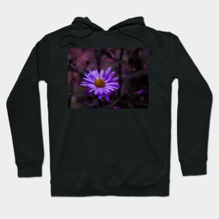 Purple Flower in the Dark - macro Hoodie